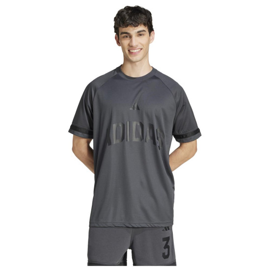 Adidas Ανδρική κοντομάνικη μπλούζα Seasonal Essentials Sport Tee